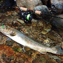 フライ名人とイワナの谷へ